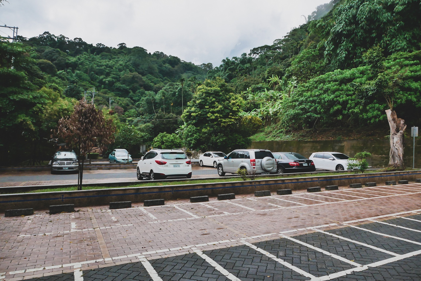 大坑登山步道