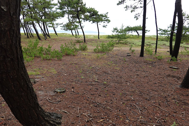 鳥取県米子市両三柳