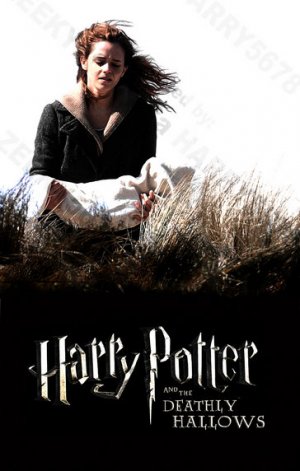 harry potter 7 part 2 images. harry potter 7 part 2 poster.