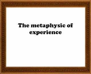 The metaphysic of experience