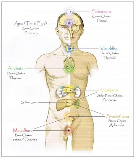 Pengetahuan Tentang Cakra Manusia Info Blog 97