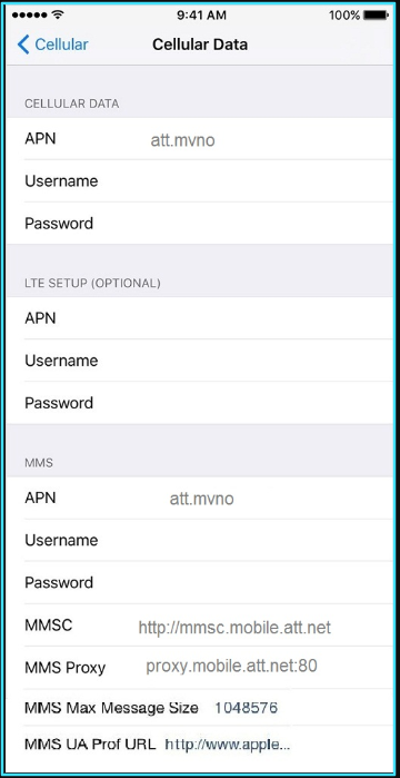 Black Wireless apn settings iPhone updated