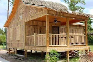 bamboo house design