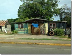 IMG_4245 IMG_4245