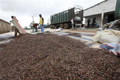 Image result for image of Cocoa Processors Association of Nigeria (COPAN