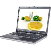 DELL LATITUDE D820 C2D