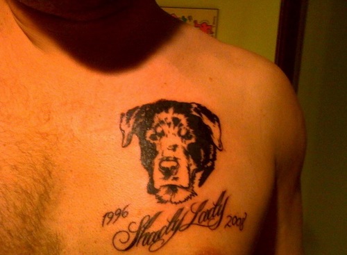Rottweiler tattoo.