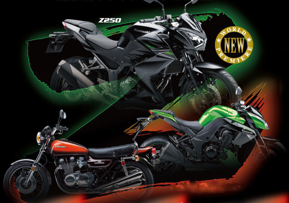 Kawasaki Z250 2013, 2013 Kawasaki Z250, New Kawasaki Z250, Kawasaki Z250 specs, Kawasaki Z250 price, Kawasaki Z250 India, 2013 Kawasaki Z250 launch, 2013 Kawasaki Z250 naked Bike   Kawasaki Z250 2013 | 2013 Kawasaki Z250