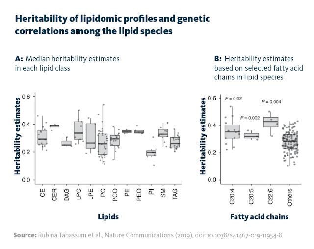 Heritability of lipidomic profiles and genetic correlations among the lipid species