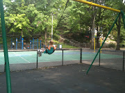 Marcus Garvey Park is only 10 blocks from Central Park. With a public pool, . (img )