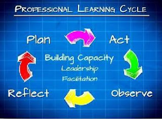 Professional Learning Cycle