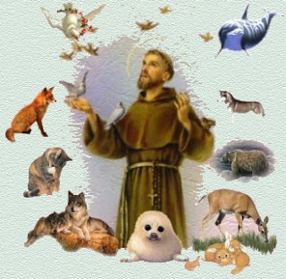 A Zen of My Own: St. Francis and the Blessing of Animals