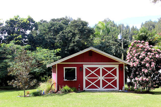 Eclectic Red Barn: Barn before rain