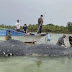 Dead whale in Indonesia had 115 plastic cups, 2 flip-flops in its stomach
