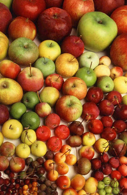 98% of apple samples were contaminated with pesticides.