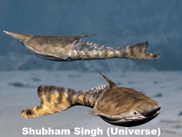 Pteraspis- Shubham Singh (Universe)