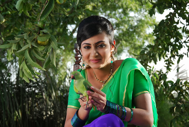 Actress Neelam Upadyaya Latest  Pictures in Green Saree 0005.jpg