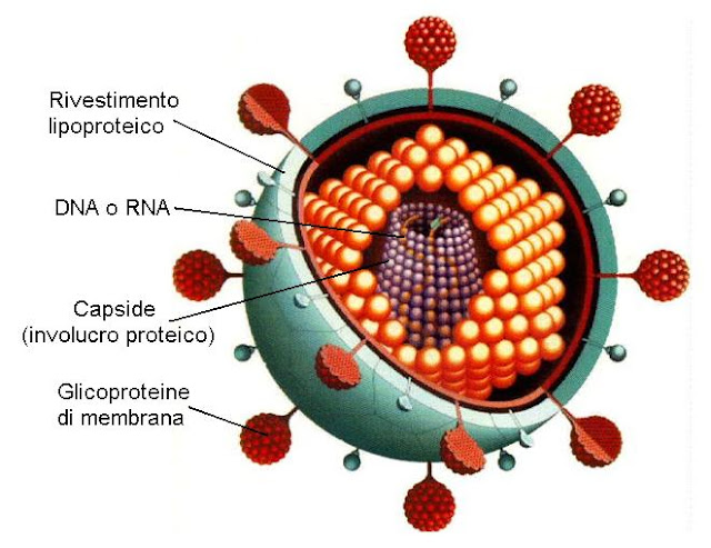 virus_vaccinazione_dal_cielo
