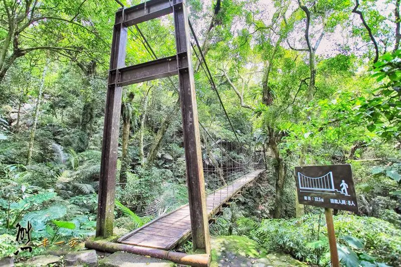 螢火蟲、油桐花、季高緯度熱帶雨林｜三峽 大板根森林溫泉渡假村