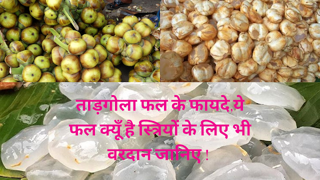 Benefits Ice Apple Tadgola in Hindi,ताड़गोला फल के फायदे,ये फल क्यूँ है स्त्रियों के लिए भी वरदान जानिए !