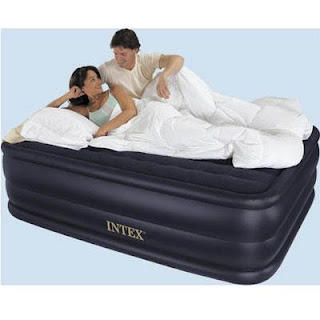  Twin Pillow Rest Raised Airbed