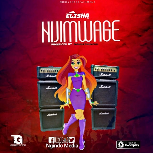 Audio | Dogo Elisha - Nijimwage | Download 