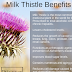  Herbs & Spices / 10 Amazing Health Benefits of Milk Thistle