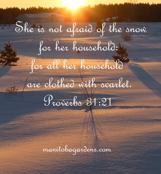 Proverbs 31:21