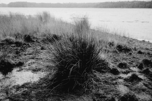 Le lac de Diane, forêt de Brocéliande, paimpont, chateau de comper