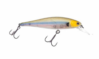 Plug jenis minnow dan crankbait