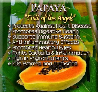 Papaya Health Benefits