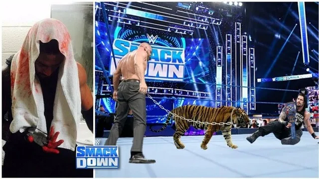حيوانات رافقت نجوم WWE إلى الحلبة.. فيديو