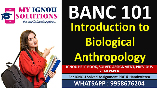 Banc 101 solved assignment 2024 25 pdf free download; nc 101 solved assignment 2024 25 pdf; nc 101 solved assignment 2024 25 free download; nc 101 solved assignment 2024 25 ignou