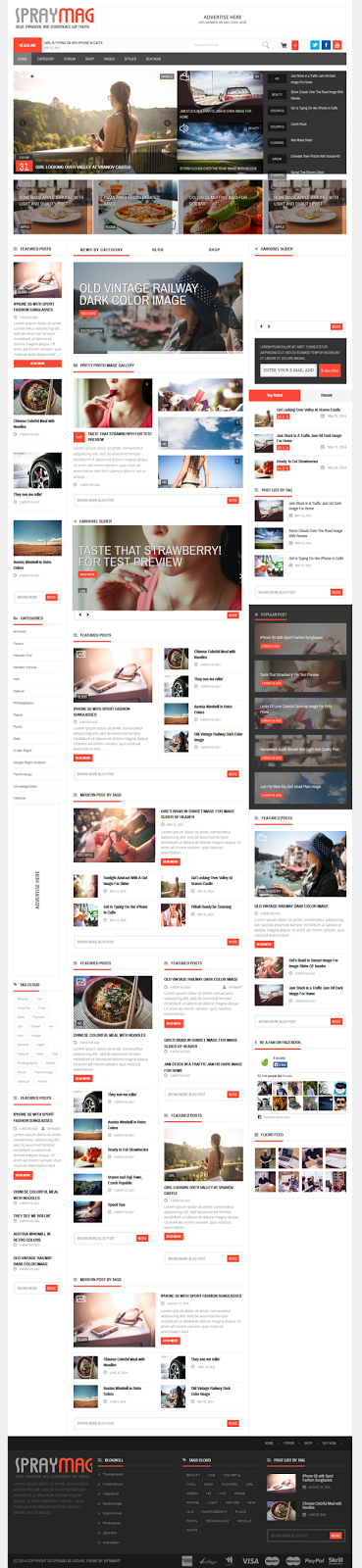 Premium News and Magazine WordPress Template