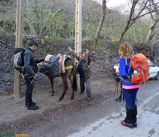 Preparando la mula e iniciando camino al Refugio de Toubkal