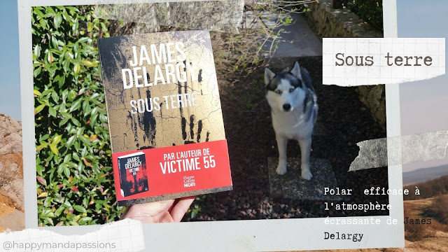 Sous terre James Delargy happybooks livres addict avis chronique littéraire