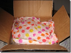 Julie's gift 002