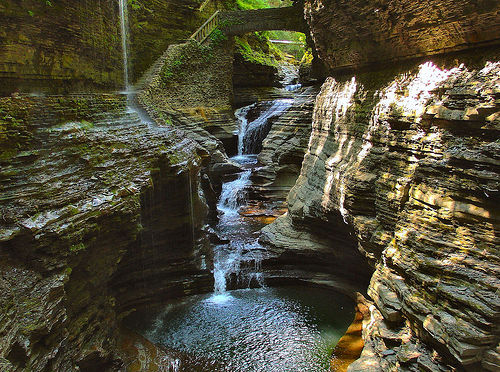 watkins glen