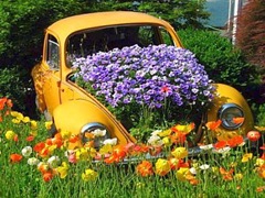 auto_ecologica--400x300