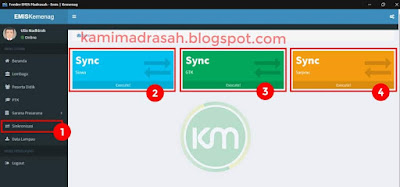 Feeder Emis Madrasah Offline Tahun 2019