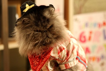 photo24