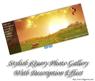 Stylish+jQuery+Photo+Gallery+With+Description+Effect