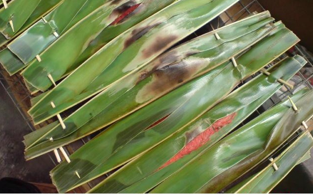 AMIRAH FROZEN FOOD: OTAK-OTAK KEMPAS KEMPAS ORI MARI