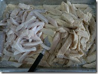isca_peixe_2