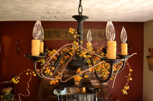 fall bitteresweet light