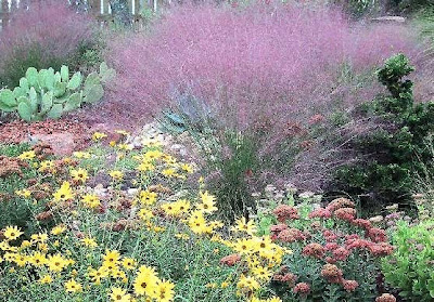 LANDSCAPE DESIGN + MORE: Xeriscape design