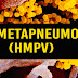 HMPV virus outbreak in china!!! will it cause another lockdown??