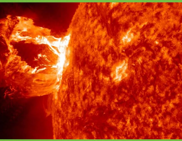 https://fdtags.blogspot.com/2024/02/a-tree-revealed-what-happened-to-sun.html