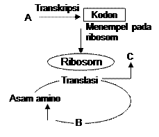 clip_image050