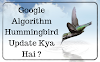 Google Algorithm Hummingbird Update Kya Hai ?